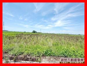 誠昱/鹽水區竹埔國小38.