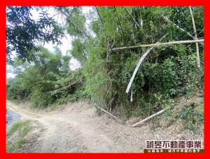 誠昱/關廟新埔投資農地