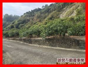 誠昱/玉井資材室夜景農地.