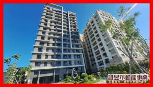 誠昱/新市森友薈兩房平.